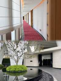 上海！剛開業，我願稱之為千元級酒店的天花板！！！