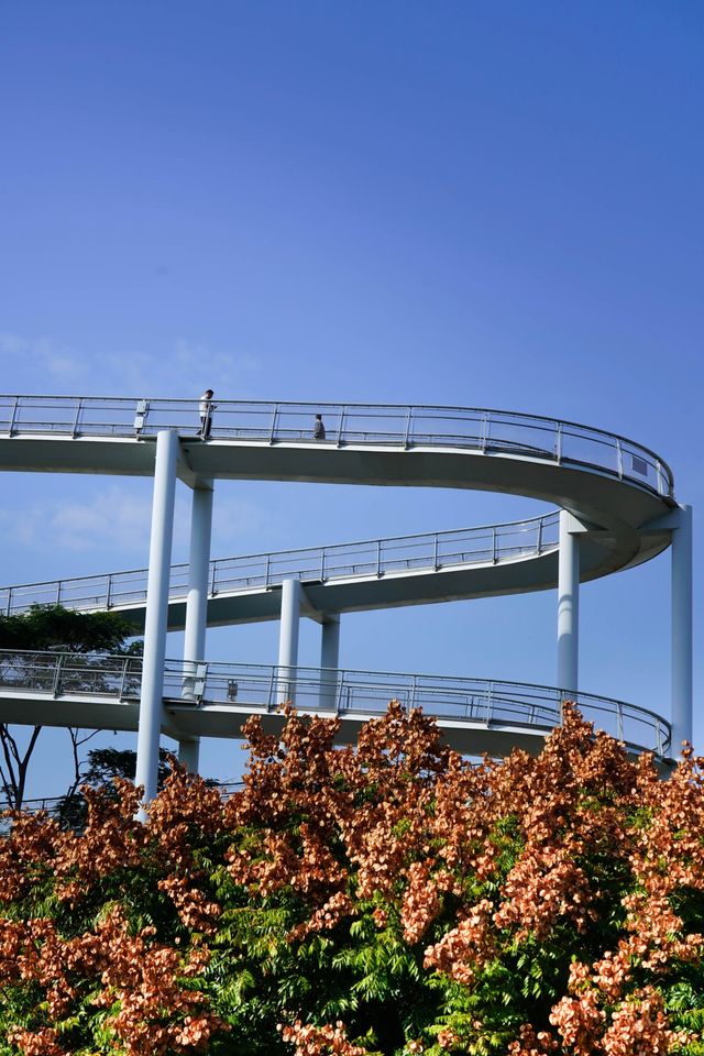 逃離城市喧囂廈門這條山海步道真的封神了