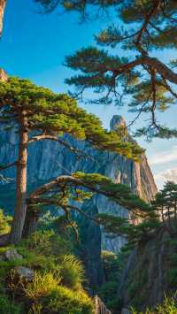 黃山避峰出行必看攻略