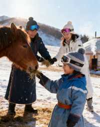 冬天必衝呼倫貝爾-興安盟7日遊攻略