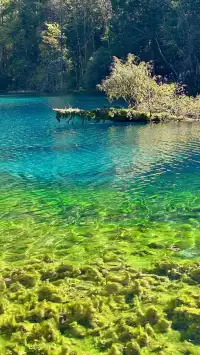 不上班後 人生都明媚了