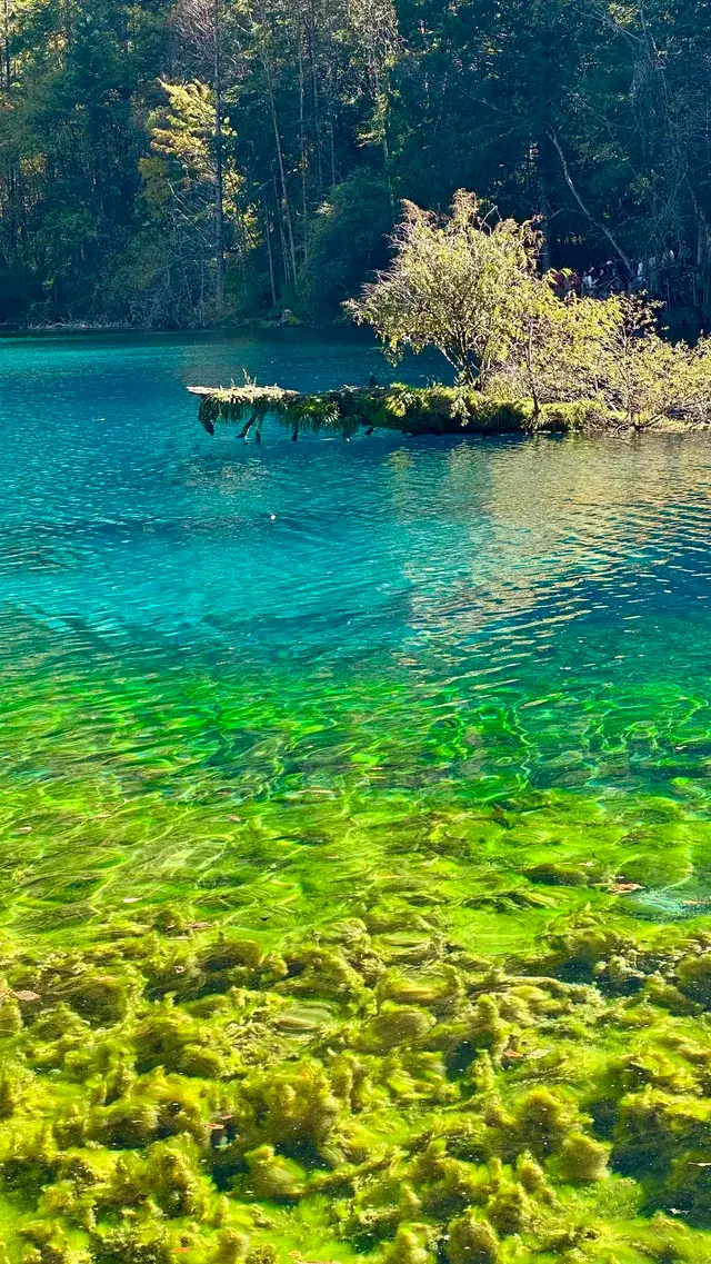 不上班後 人生都明媚了