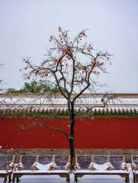 降溫了，開始期待北京的初雪