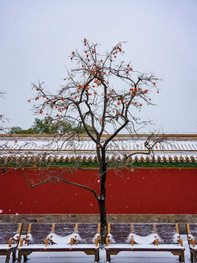 降溫了，開始期待北京的初雪