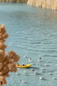 瀘沽湖2日遊人均300+!商務小團住湖景