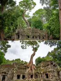 塔布隆寺|古墓奇兵取景地,異星球神樹奇觀
