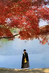 12.1武漢|現實版秋日莫內油畫~地鐵直達