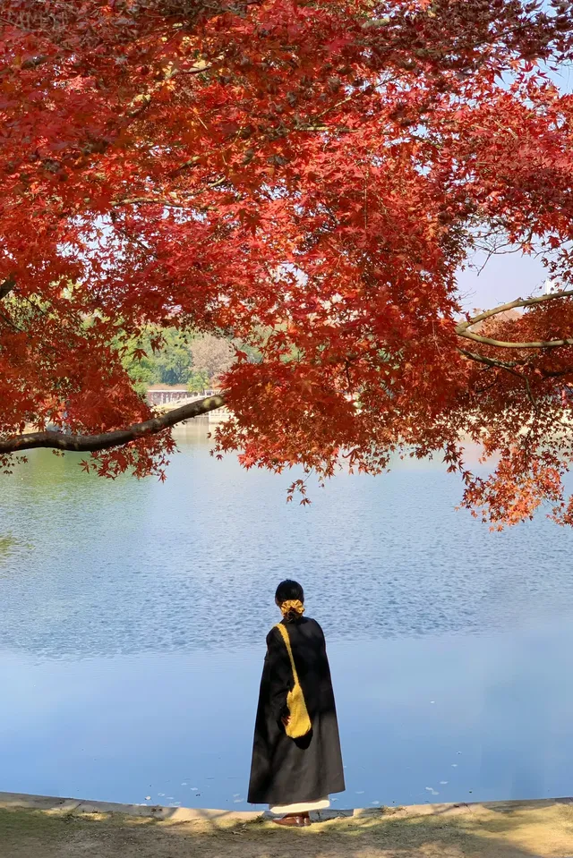 12.1武漢|現實版秋日莫內油畫~地鐵直達 12.1武漢|現實版秋日莫內油畫~地鐵直達