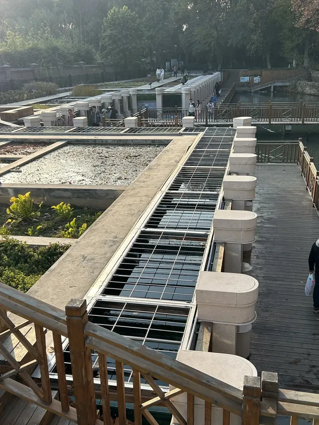 湖北新生旅遊年卡武漢植物園全攻略