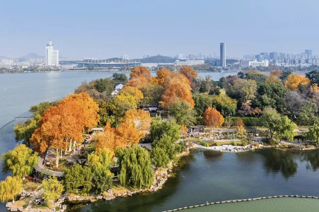 玄武湖秋景美到犯規 玄武湖秋景美到犯規