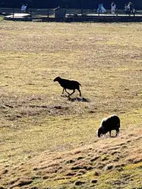 小小玉龍雪山,拿下!