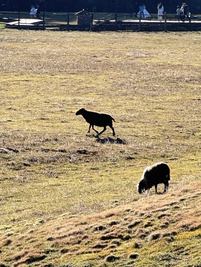 小小玉龍雪山,拿下! 小小玉龍雪山,拿下!