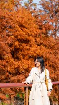 住對酒店,連散步都藏著極致浪漫