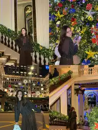 香港8小時拍完漂亮聖誕樹(挑戰成功版!)