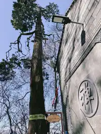 雪後秦嶺宛如仙境!南五臺山冬日徒步全攻略