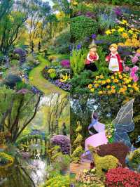 上海共青菊韻秘境|秋日限定森林賞花指南