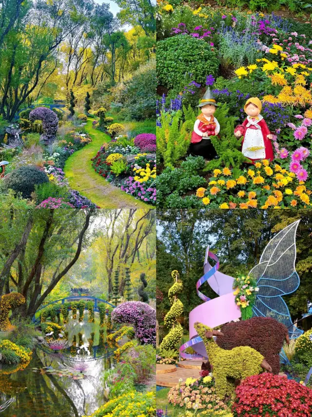 Shanghai Gongqing Chrysanthemum Charm Secret Realm｜Autumn Limited Forest Flower Viewing Guide