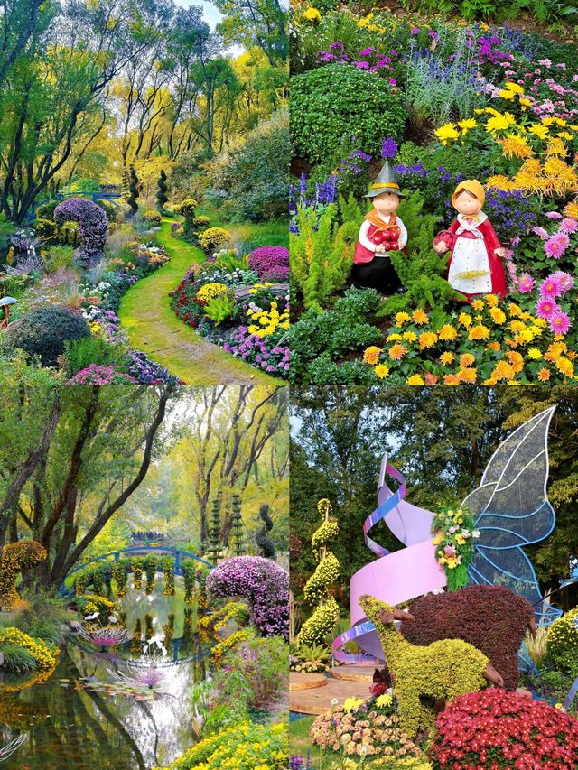 上海共青菊韻秘境|秋日限定森林賞花指南 上海共青菊韻秘境|秋日限定森林賞花指南