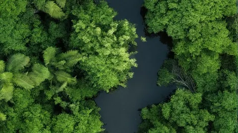 [รถเช่าเหมาลำอเมริกาใต้] ตั้งแต่ปี 2024 เป็นต้นไป ทีมจากเปรูจะเดินทางไปเกาะอีสเตอร์ — traveler post in นาสกา