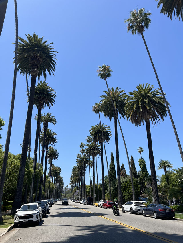 Los Angeles – Sunshine, City Lights & That Hollywood Dream