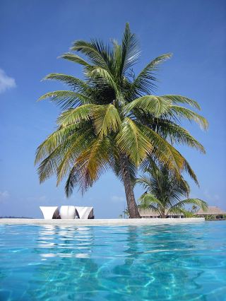 Relax and Unwind at Royal Island