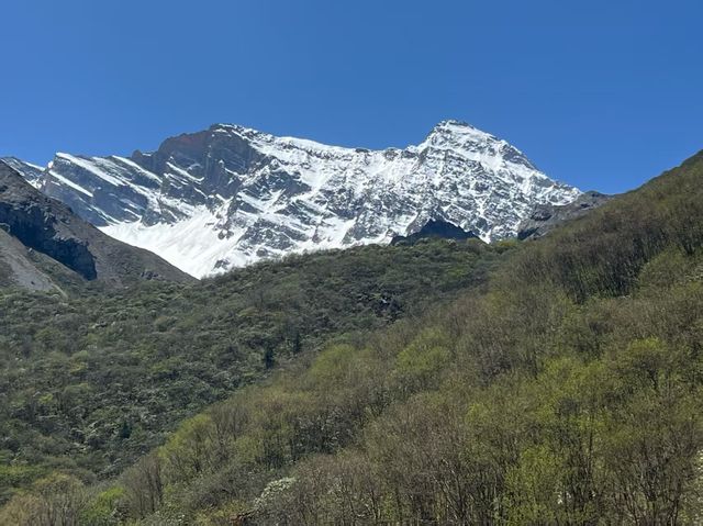 Spring in Western Sichuan | Trip.com Xiaojin