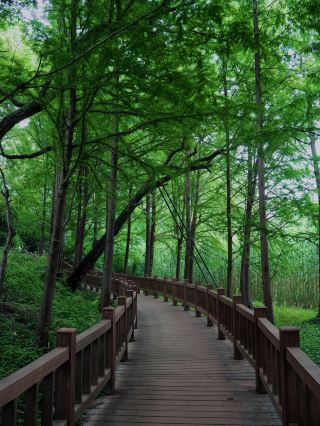 揚州の人は口が堅すぎる！この神仙のような公園を外に言いたくないんじゃない？