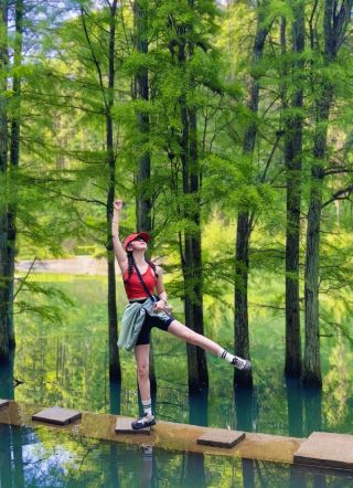 Changsha's Green Wonderland! The Free Metasequoia Secret Spot in Dashanchong is a Healing Check-in Place