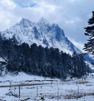 湘冬6大霧淞秘境雪後的限定浪漫！南方人必衝的冰雪世界