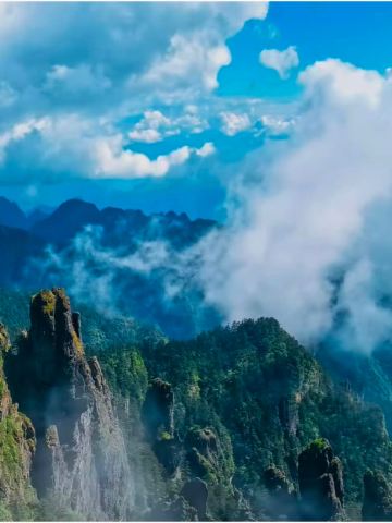 Misty Secret Realm, Picturesque Landscapes | Trip.com Shennongjia