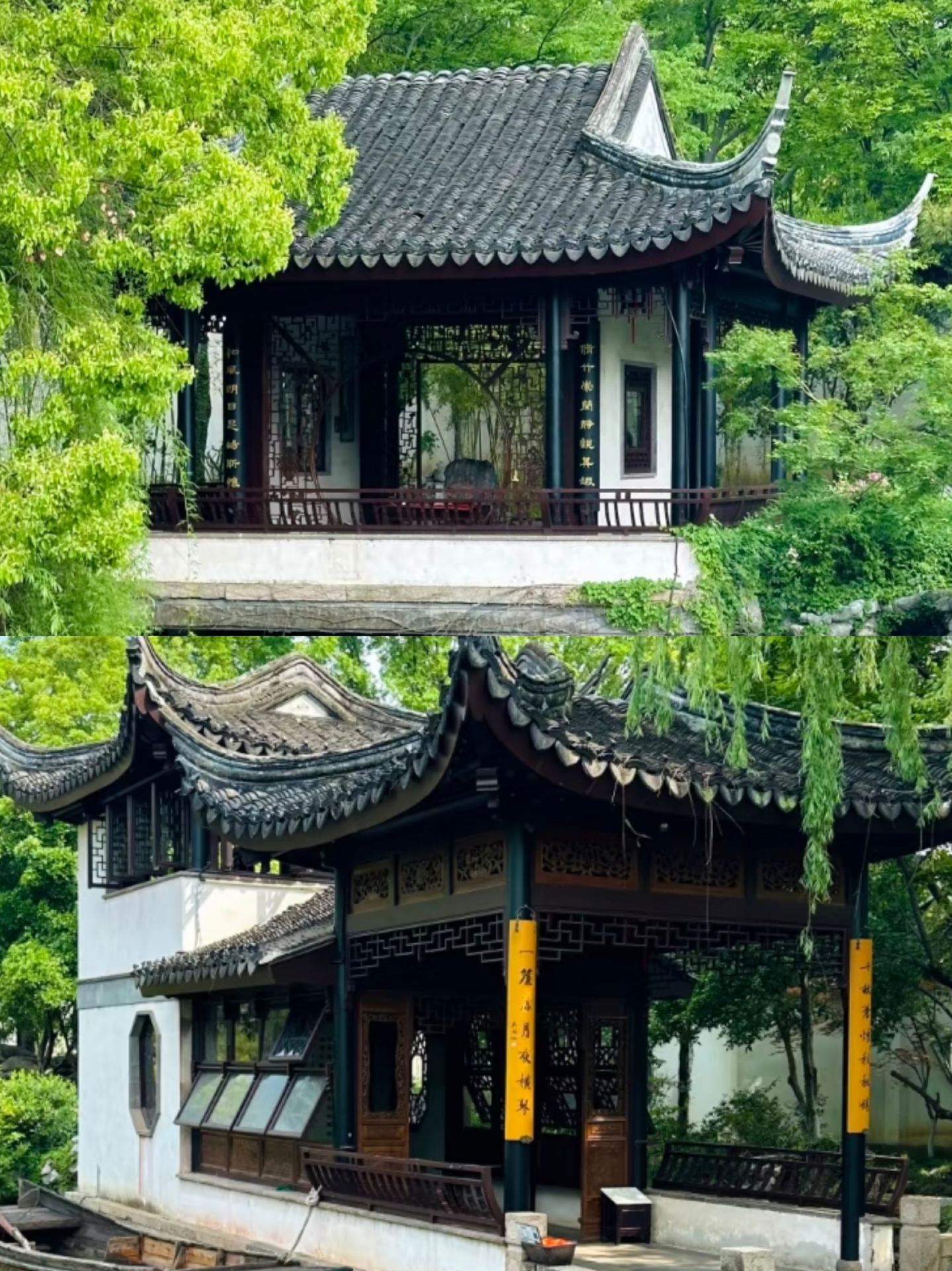 Tô Châu rất đẹp, nhưng tôi sẽ không quay lại đó nữa.