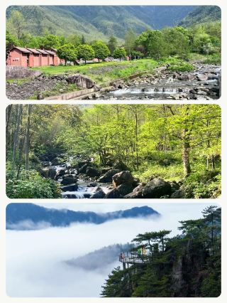 子供連れの秋の旅行は大変？実際に試して疲れない場所を厳選