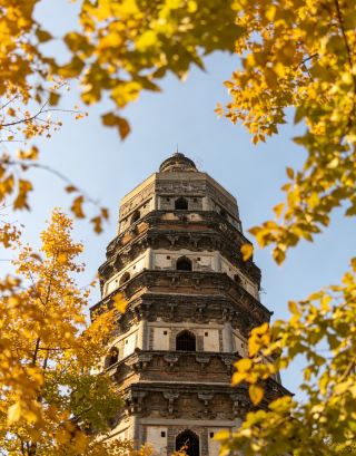 A Lane of Osmanthus Fragrance Leads to Suzhou: Off-Peak Autumn Tour of the Tiger Hill Route