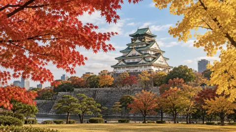 大阪発で紅葉を楽しむ関西の魅力 — traveler post in 大阪