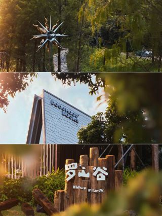 There's a spot in the city that makes you want to slow your pace. I was just wandering around, and