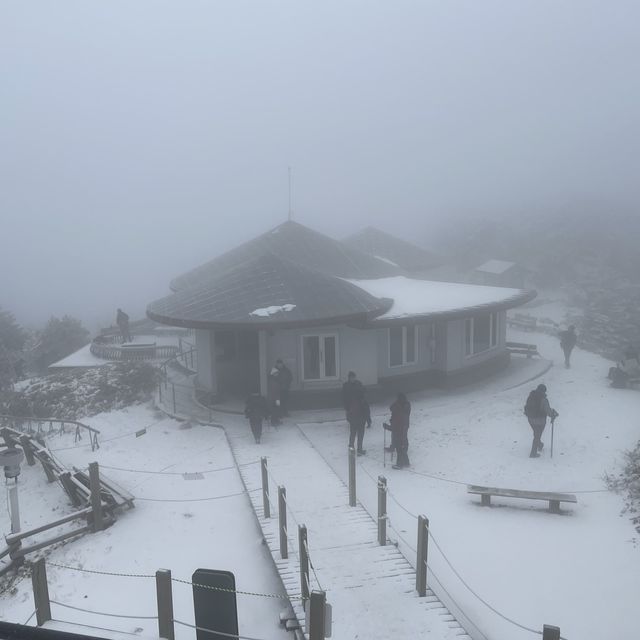 제주 🗻한라산🗻관음사(삼각봉) 등산(왕복6시간)