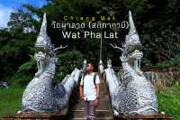 วัดผาลาด (สกิทาคามี) ดอยสุเทพ จ. เชียงใหม่