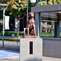 Shibuya เมืองไทย ย่านนิมมานฯ เชียงใหม่