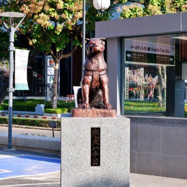 Shibuya เมืองไทย ย่านนิมมานฯ เชียงใหม่