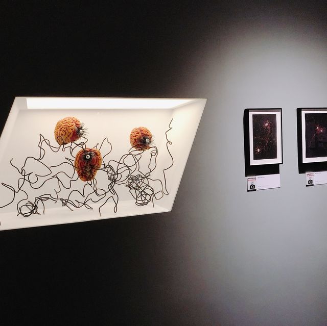 逗趣的小傢夥們👻🧛🏻‍♀️🤖🧙🏻🧞提姆波頓異想世界巡迴展