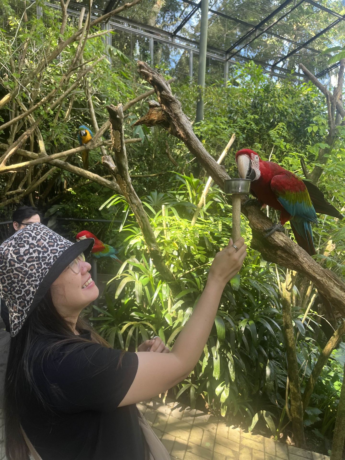 Pertemuan Hewan di Cebu Safari