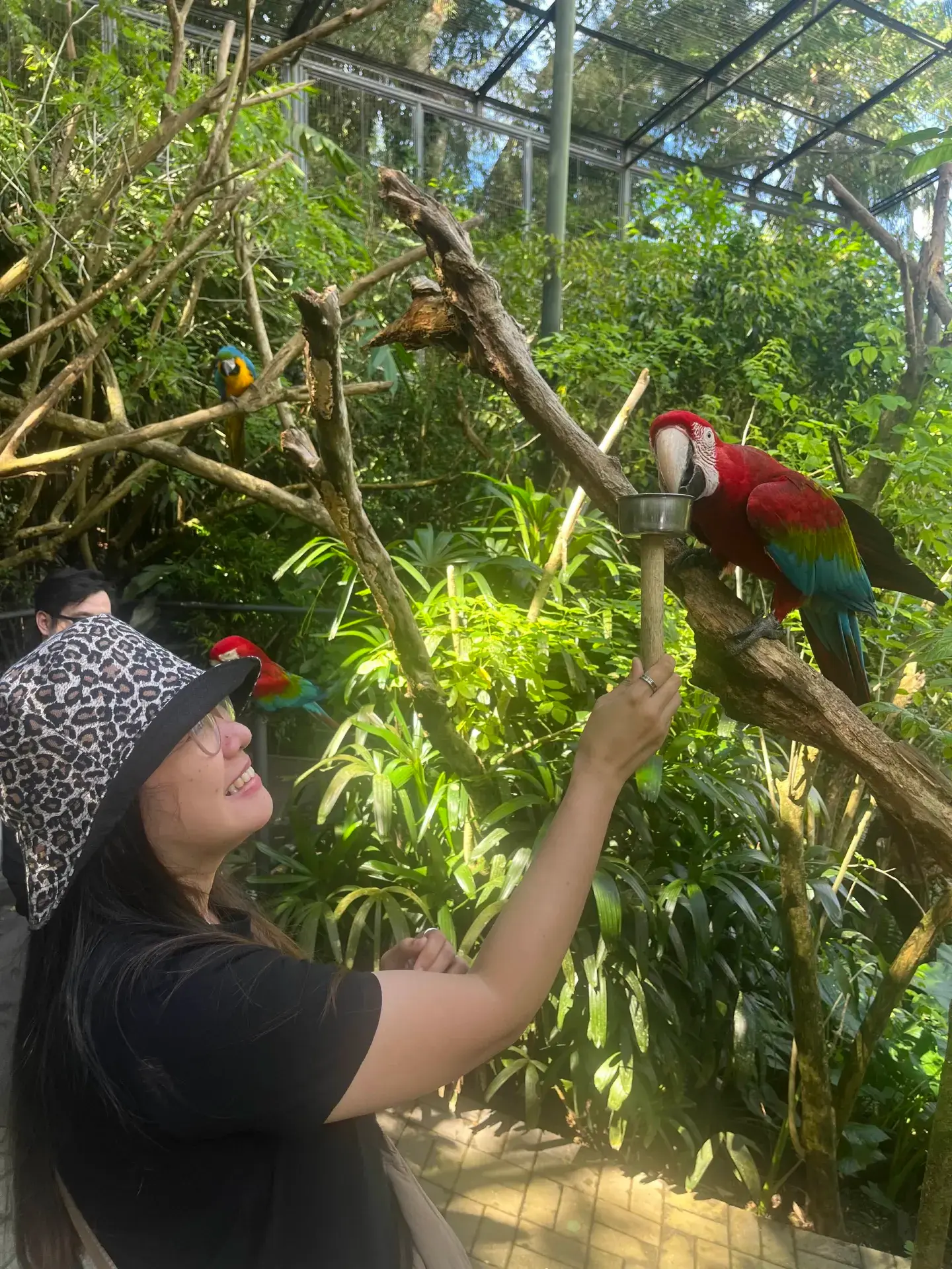 Pertemuan Hewan di Cebu Safari