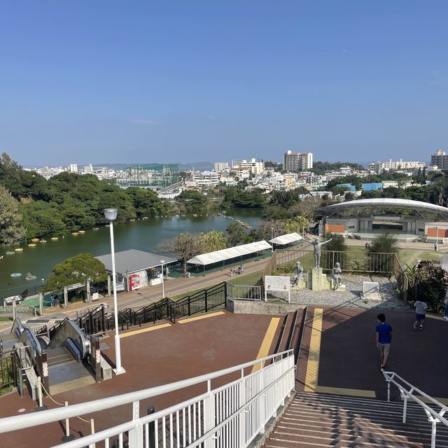 沖縄の動物園と言えば『こどもの国』