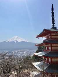 🇯🇵🗻富士山必打卡點📸新倉富士淺間神社⛩️