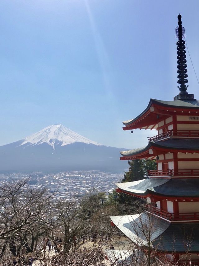 🇯🇵🗻富士山必打卡點📸新倉富士淺間神社⛩️