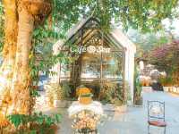 แอท ซี  Cafe@sea หาดสอ 