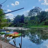 Get some drink in the forest, Suan Phueng 🥤🇹🇭