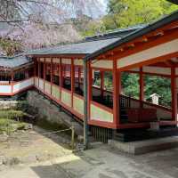 鹿児島「霧島神宮」神話と霊験あらたかな由緒ある国宝に指定された神社