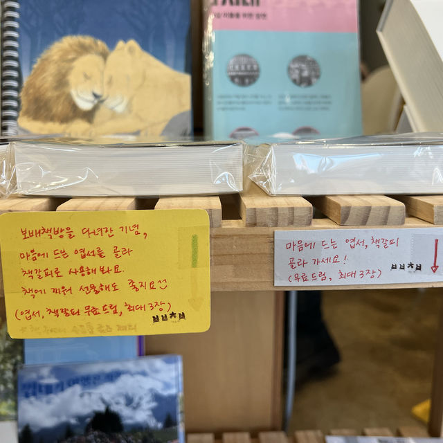 제주도 애월 독립서점, 보배책방 📚