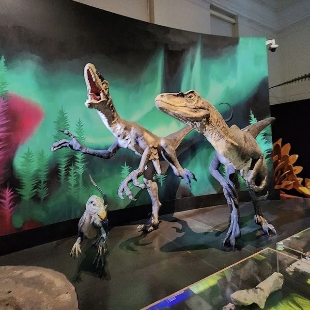 Great Display of Dinosaurs 